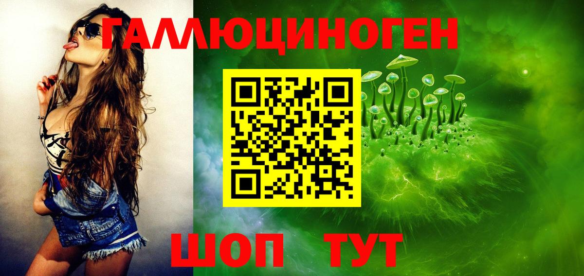 Галлюциногенные грибы Psilocybe  Галлюциногенные грибы прущие грибы  Прокопьевск  Вход с VPN 